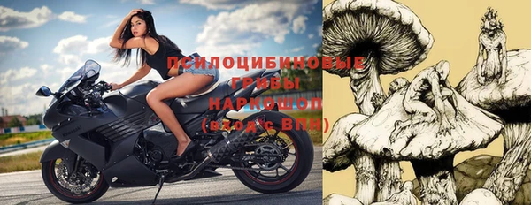 соль курить ск Алексеевка